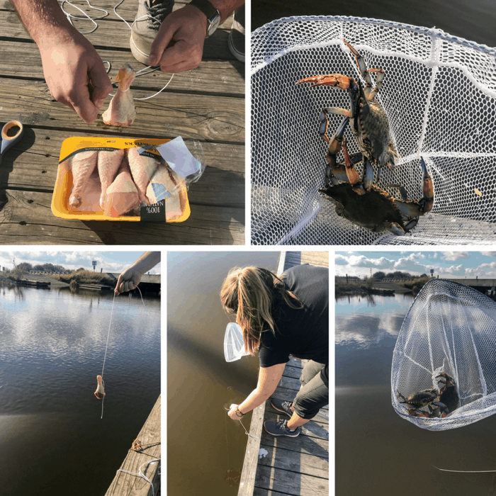 Crabbing Along the Creole Nature Trail