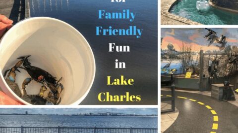 Image for Top Adventures for Family Friendly Fun in Lake Charles