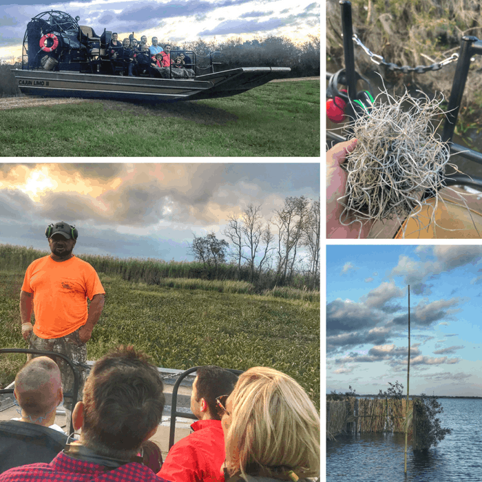 Airboat Tours by Arthur Matherne