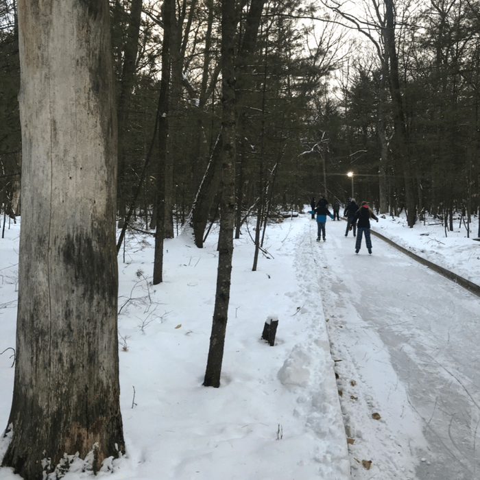 ice skating trail through the woods at Muskegon Luge Adventure Sports Park