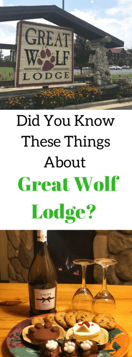 Did You Know These Great Things About Great Wolf Lodge?