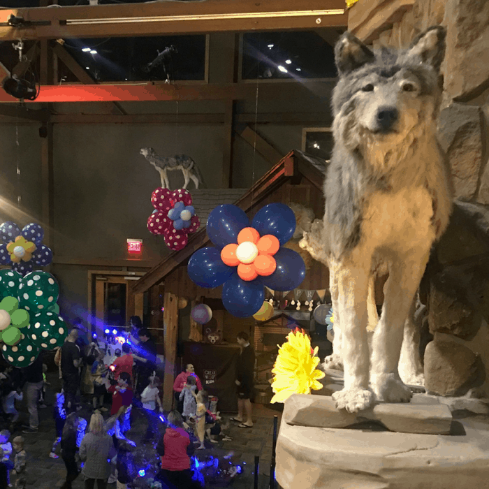 Activities Great Wolf Lodge 1