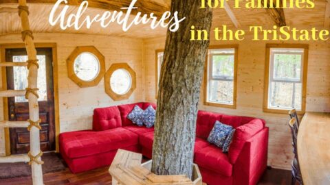 Cozy treehouse interior with a tree trunk, red sectional sofa, and rustic wooden ladder.