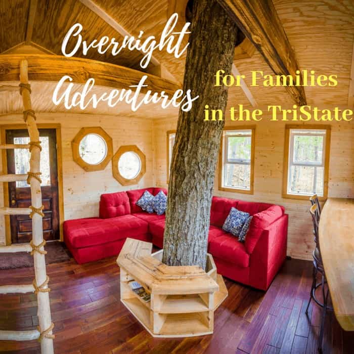 Cozy treehouse interior with a tree trunk, red sectional sofa, and rustic wooden ladder.