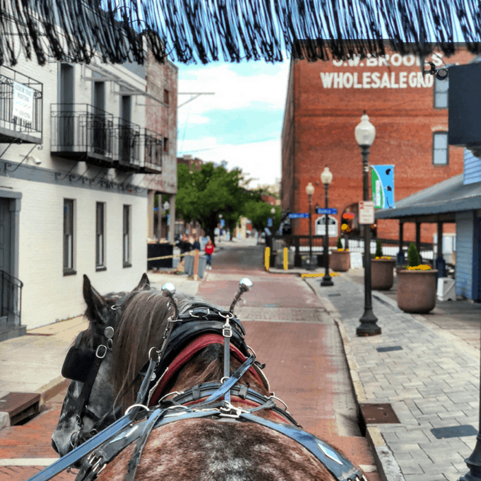 Horse-Drawn-Carriage Tour in downtown Wilmington, North Carolina