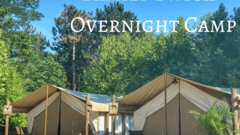 Overnight safari tents at Zoo Safari Park Stukenbrocks Family Twiga Camp on a sunny day.