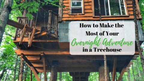A rustic wooden treehouse with windows and a balcony, nestled among lush green trees in a forest.