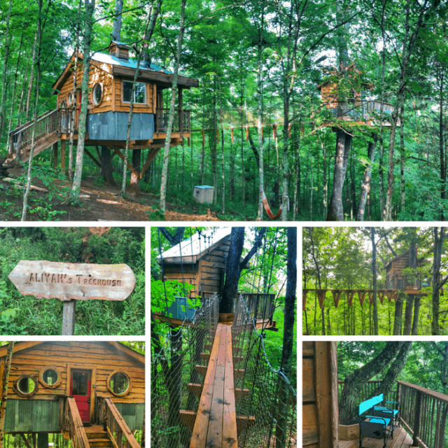 Adventures in a Treehouse Rental from EarthJoy Tree Adventures