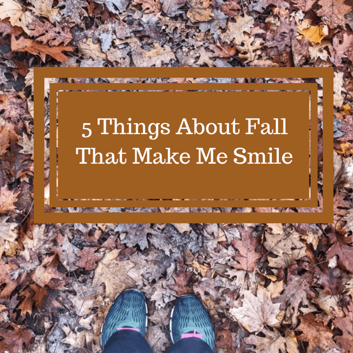 5 Things About Fall That Make Me Smile copy
