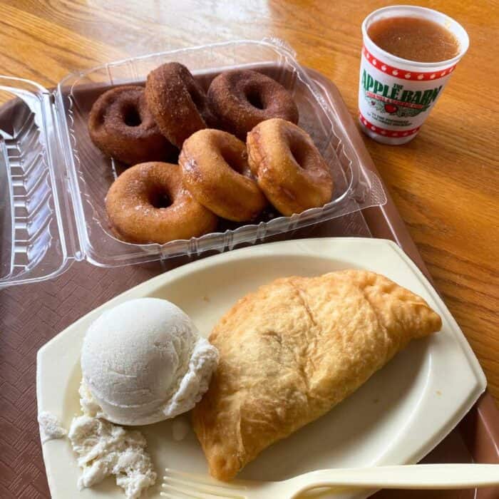 donuts and fried pie at The Apple Barn 
