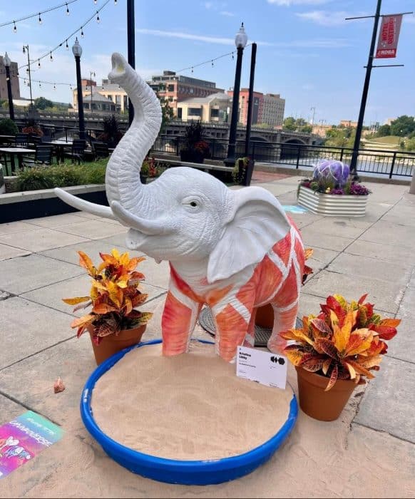 elephant Art Prize entry Grand Rapids Michigan