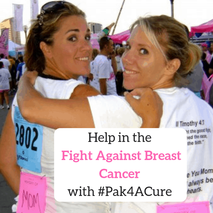 Help in the Fight Against Breast Cancer with Pak4ACure