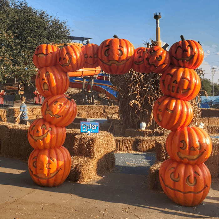 maze for great pumpkin fest