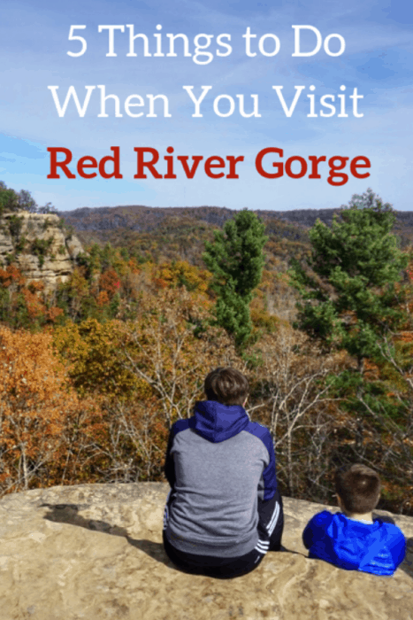 5 Things to Do When You Visit Red River Gorge in Kentucky