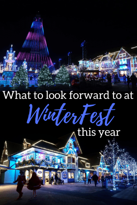 What to look forward to at WinterFest this year 1