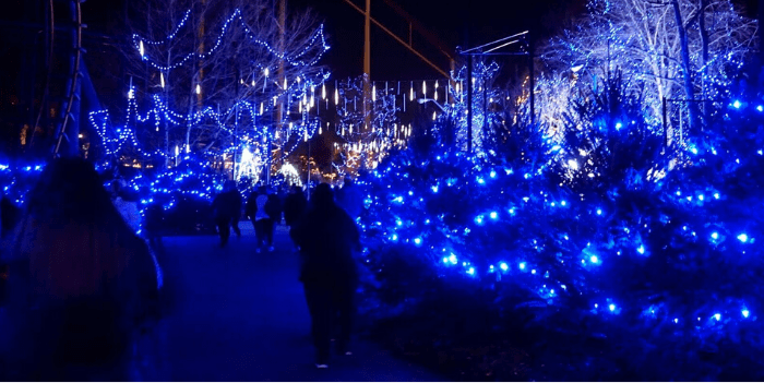 blue lights at WinterFest e1574807369541