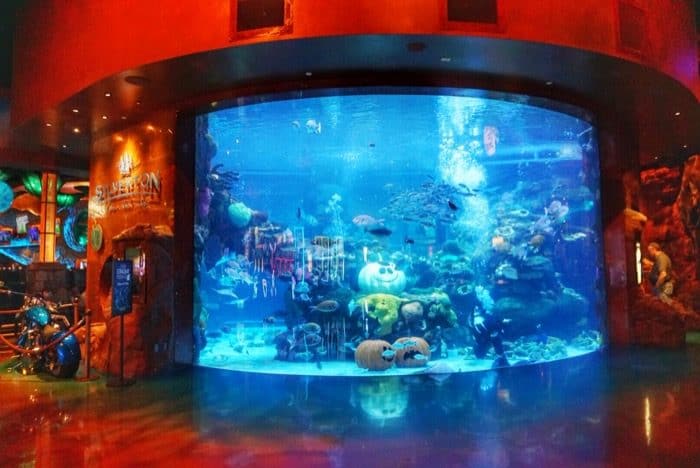 aquarium-las-vegas-silverton-casino