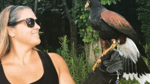 Woman with sunglasses smiles as a hawk perches on her gloved hand.