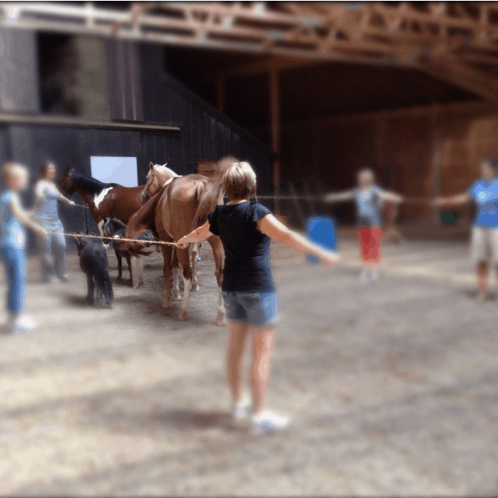 team building with horses