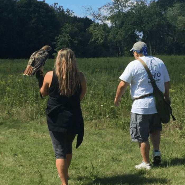 walk with hawks