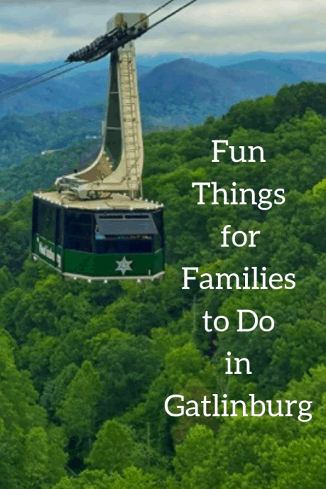 Fun Things for Families to Do in Gatlinburg TN