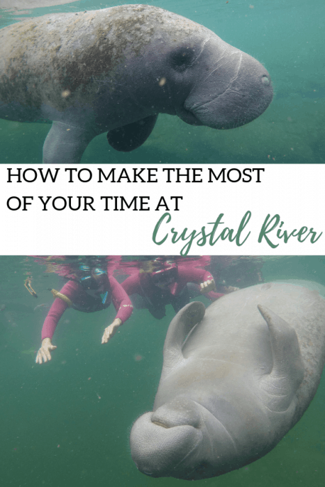HOW TO MAKE THE MOST OF YOUR TIME AT CRYSTAL RIVER in Florida
