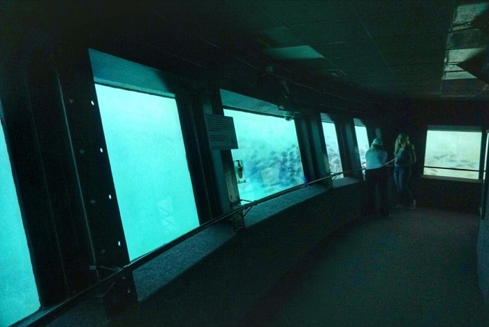 underwater observatory Homosassa Springs