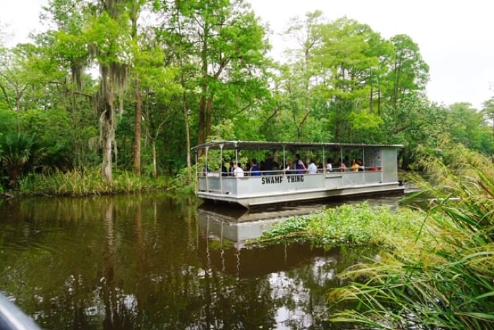 Cajun Pride Swamp Tours in Louisiana