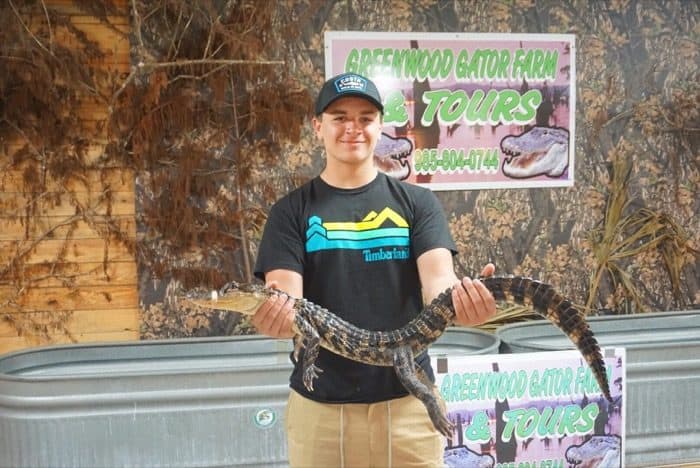 teenage boy holding a baby alligator at Greenwood Gator Farm