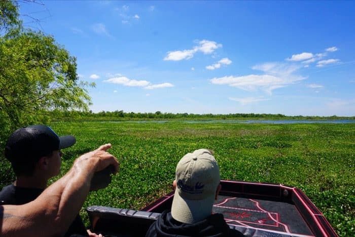 Airboat tour with RJ Molinere of History Channel’s Swamp People