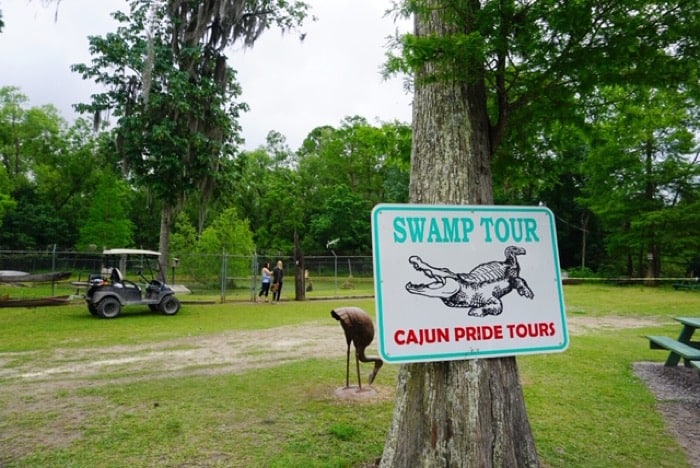 swamp tour cajun pride tours
