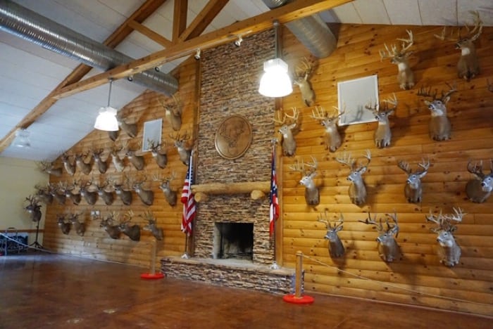 mounted deer on the wall at Deerassic Park Education Center