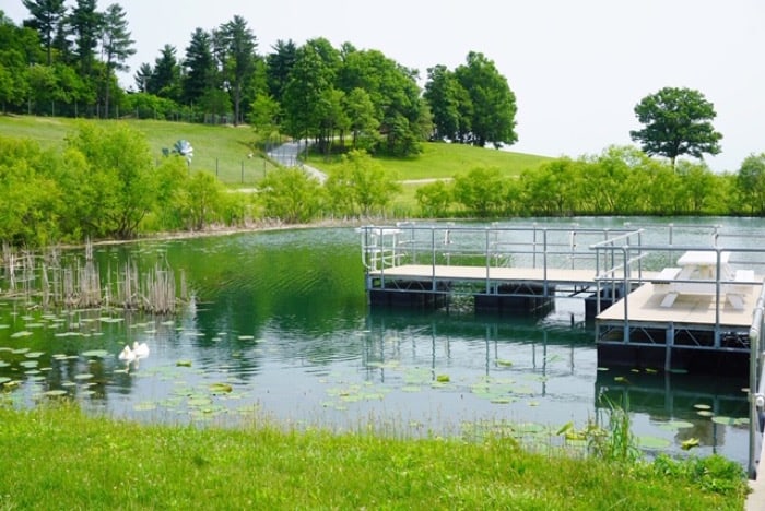 fishing pond at Deerassic Park Education Center