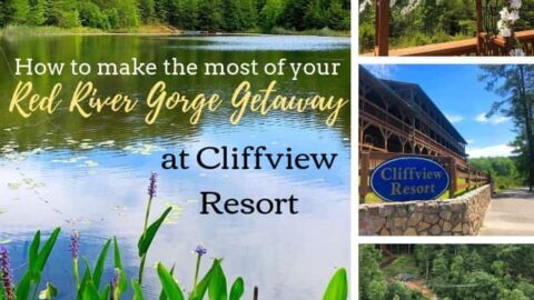 Collage shows lake, floral arch, resort sign, and zipline at Cliffview Resort.