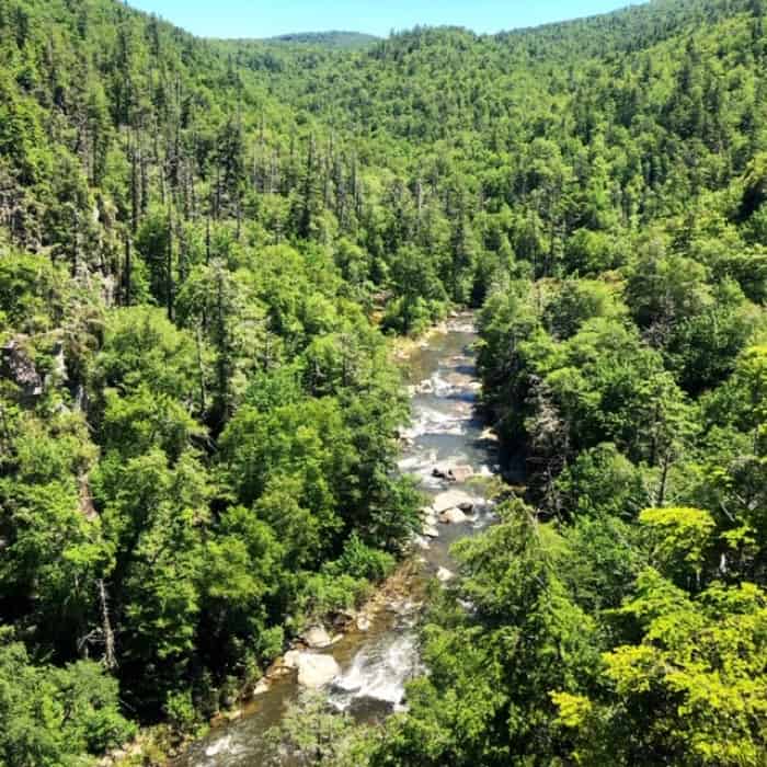 another perspective of Linville Falls