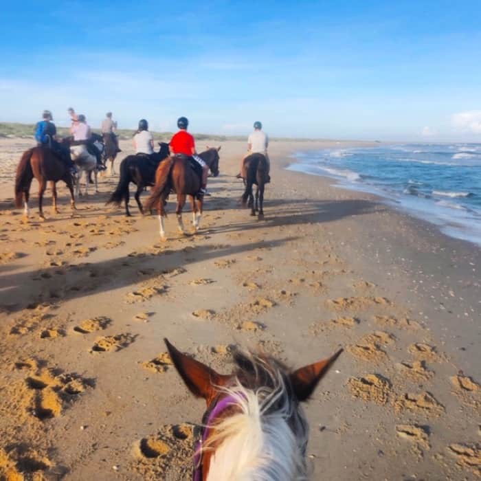 beach ride Equine Adventures Horseback Tour OBX