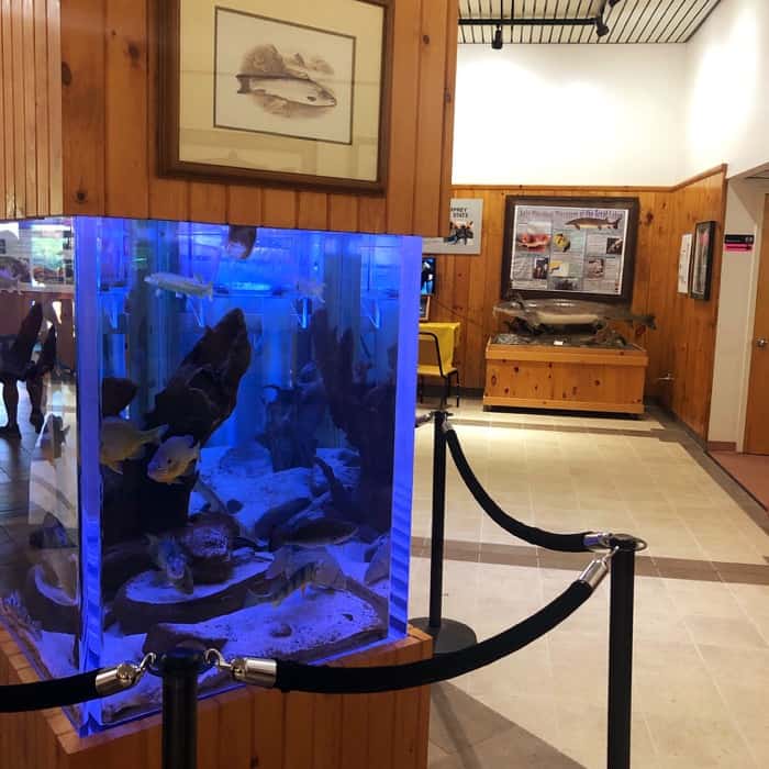 exhibits at Salmon River Fish Hatchery