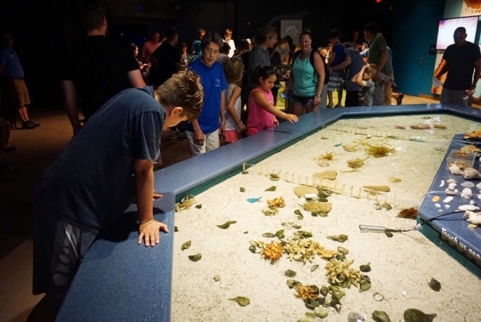 touch tank at NC Aquarium on Roanoke Island