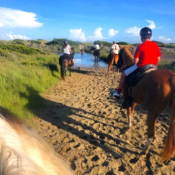 trail ride with water Equine Adventures Horseback Tour