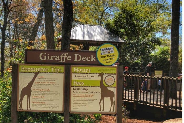 Giraffe Deck at North Carolina Zoo