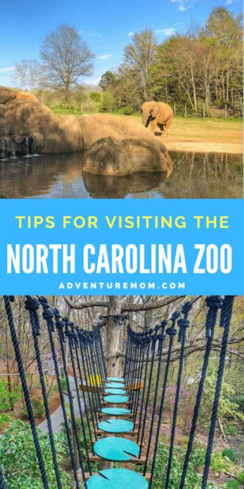 How to Make the Most of Your Visit to the North Carolina Zoo