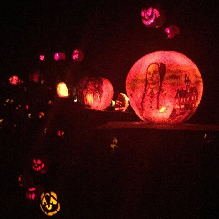 Tips for visiting the Louisville Jack O Lantern Spectacular