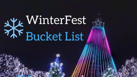 Kings Island WinterFest scene with illuminated trees and text overlay.
