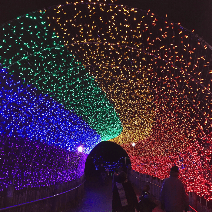 Festival of Lights at the Cincinnati Zoo