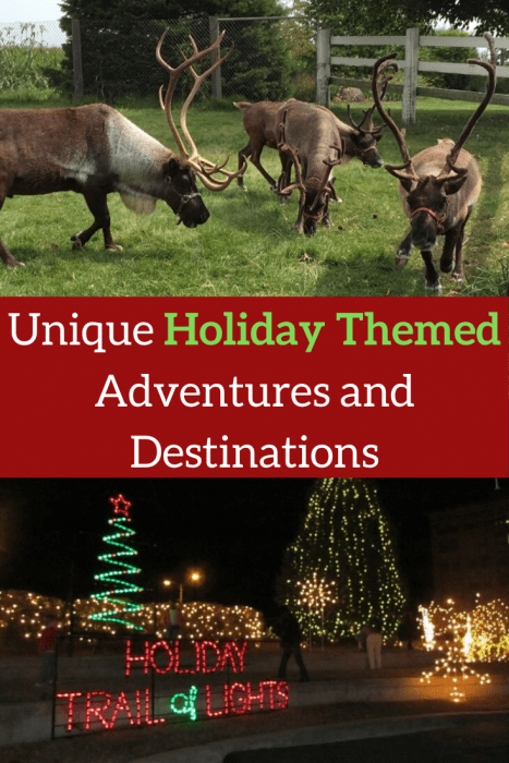 Unique Holiday Themed Adventures and Destinations 2 copy