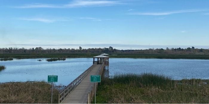 Cattail Marsh Scenic Wetlands and Boardwalk in Beaumont Texas
