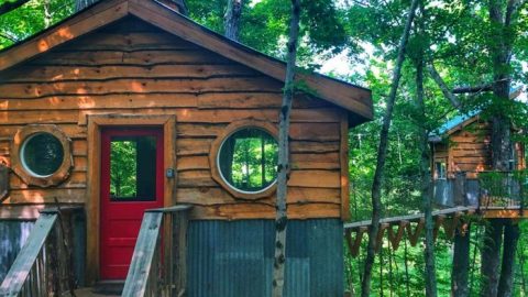Adventures in a Treehouse Rental from EarthJoy Tree Adventures a heading