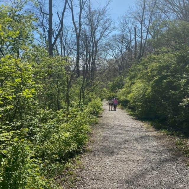 The Best Places to Hike in Northern Kentucky