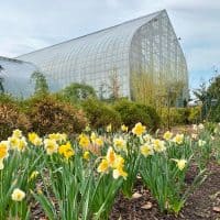 The Best Places to See Spring Flowers in Cincinnati