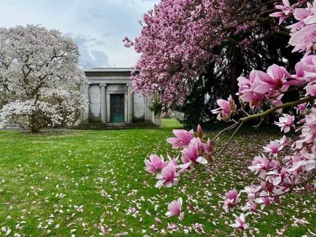 The Best Places to See Spring Flowers in Cincinnati